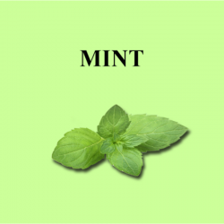 Flavour Mint